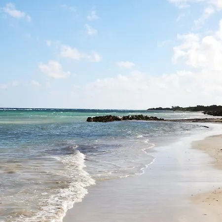 Seacastles By The Beach/Pool Montego Bay Exterior foto