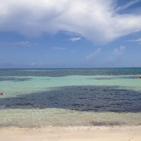 Seacastles By The Beach/Pool Montego Bay Exterior foto